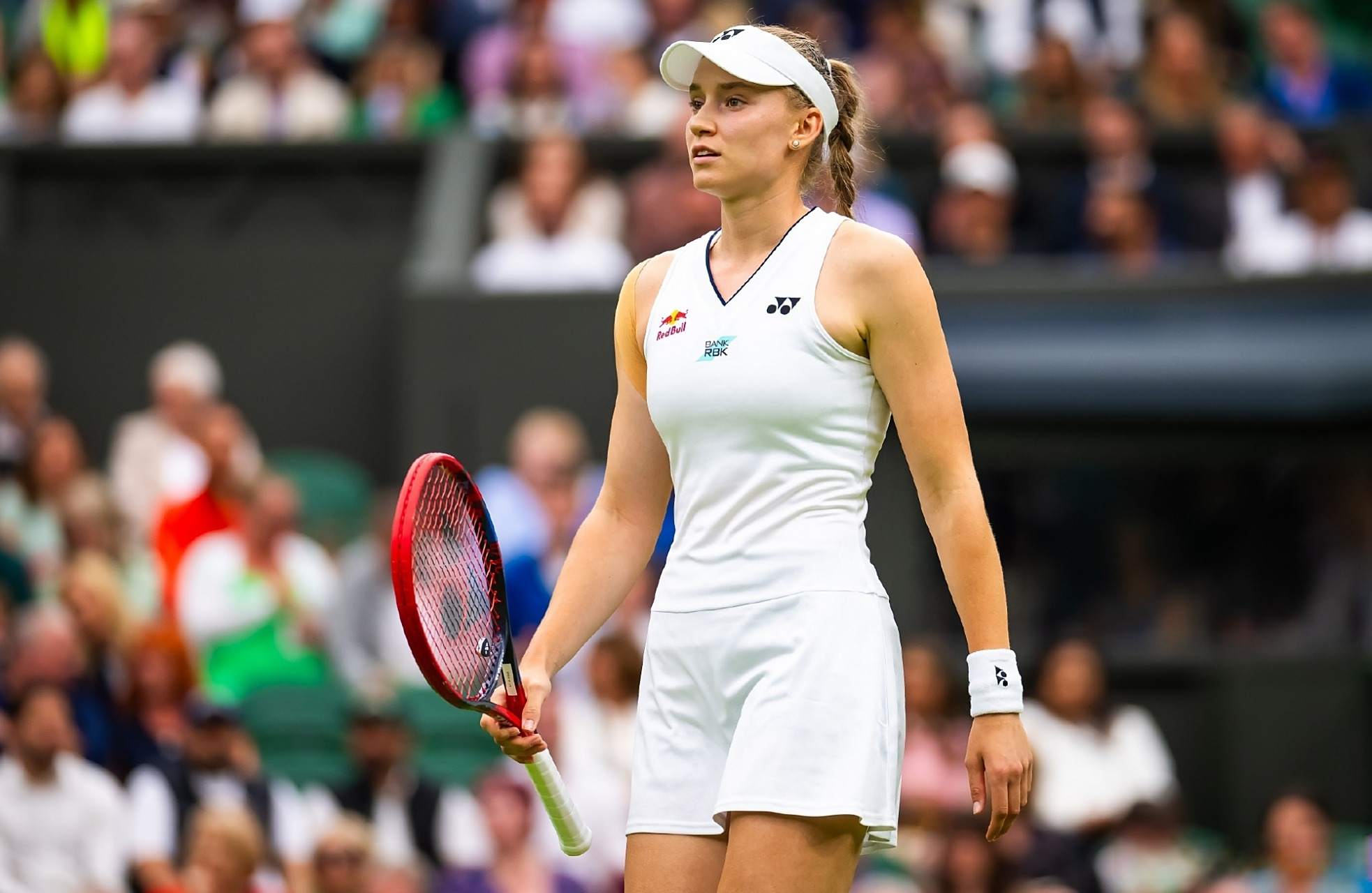 篮球所需的 篮球所需的