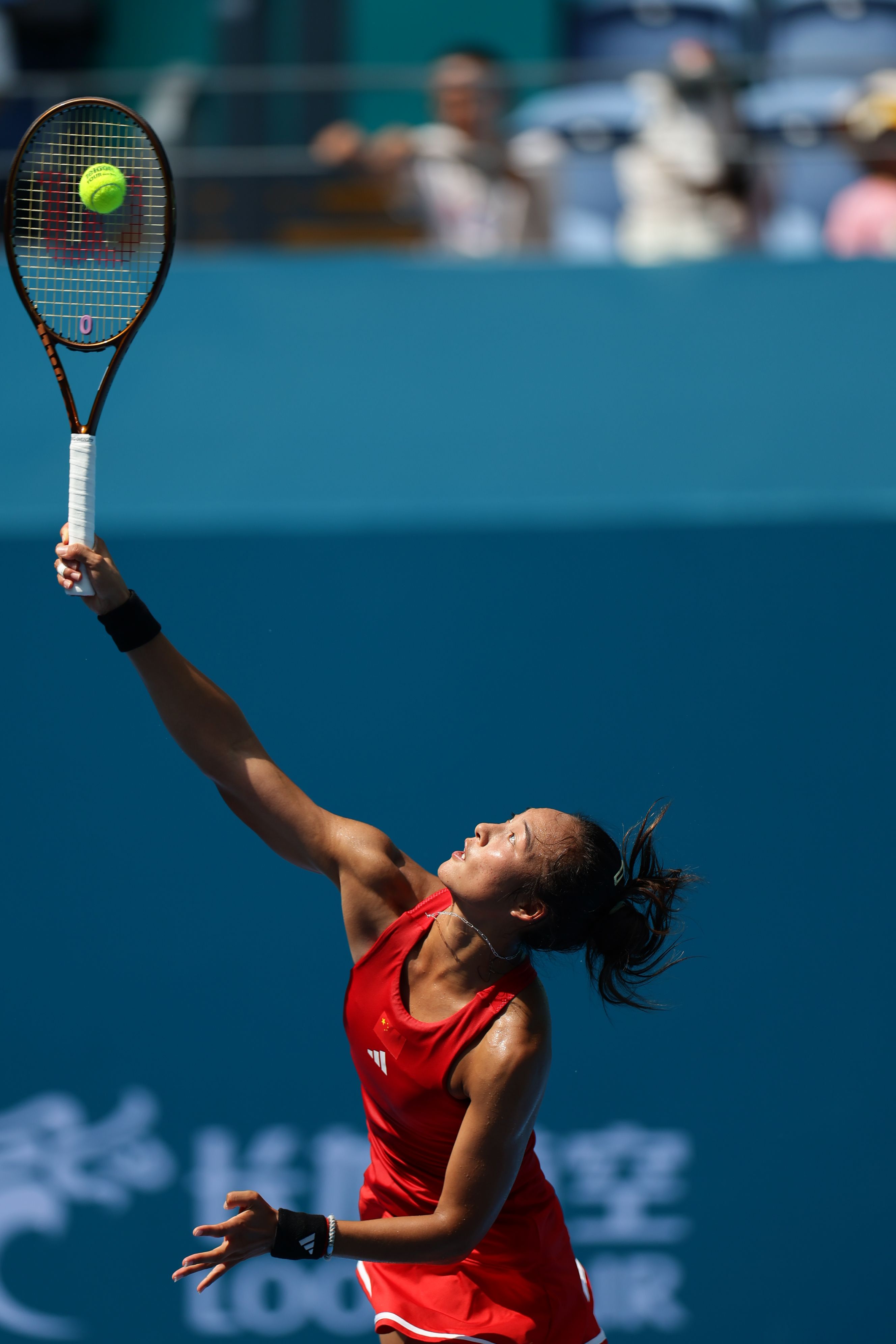 极高的得分 极高的得分