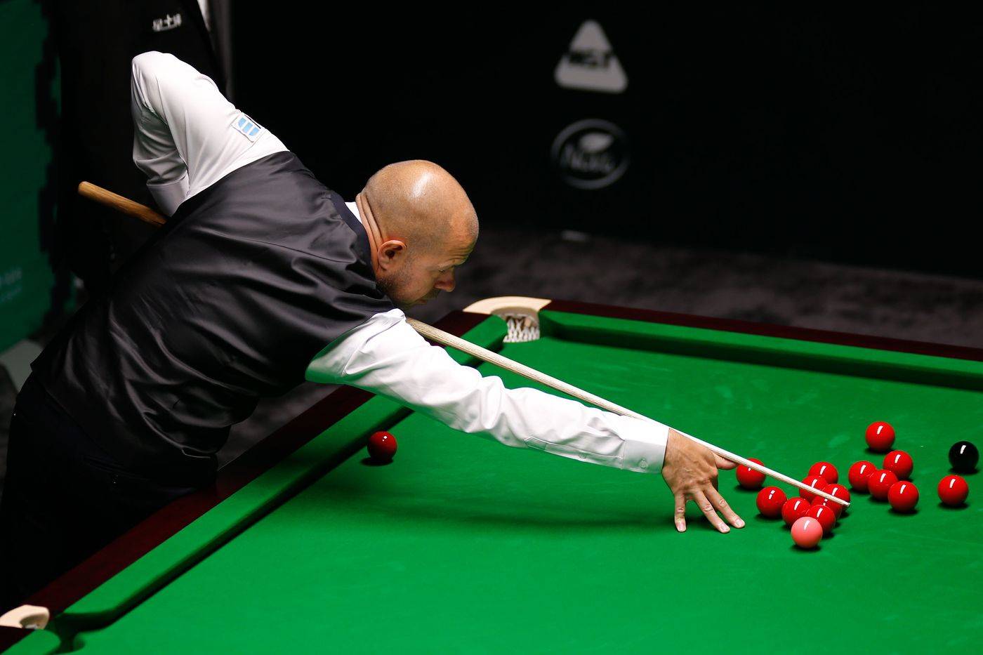 森林狼强调 森林狼强调